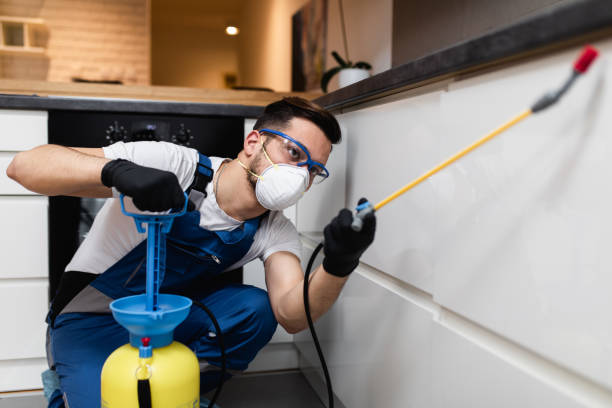 Best Residential Pest Control  in Janesville, IA