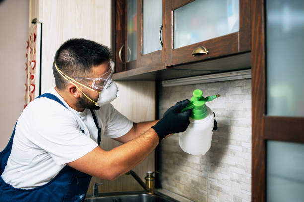 Best Best Pest Control Companies  in Janesville, IA
