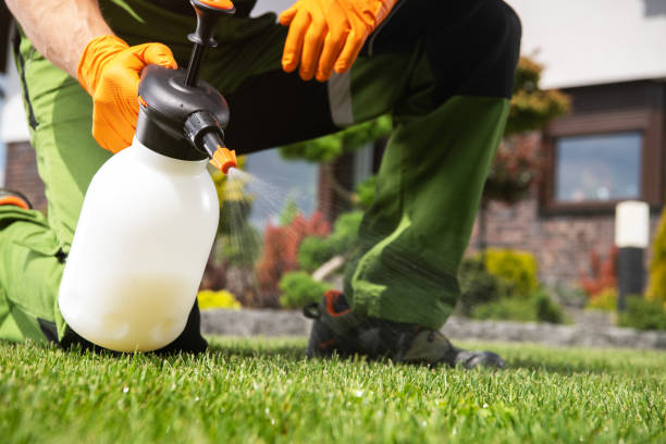 Best Cockroach Control Services  in Janesville, IA