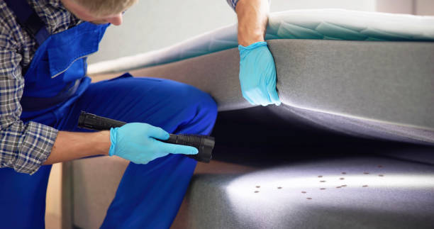 Best Affordable Pest Control Services  in Janesville, IA