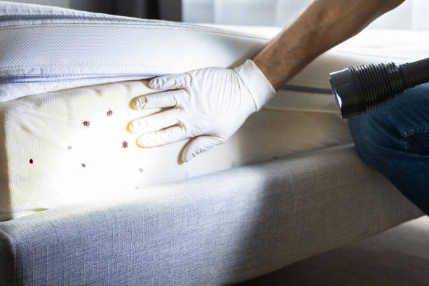 Best Pest Control for Restaurants  in Janesville, IA