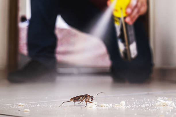 Best Wasp Removal Services  in Janesville, IA