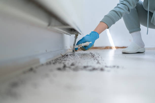 Best Pest Inspection Near Me  in Janesville, IA